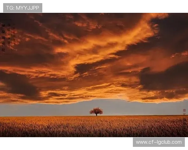 探索足球摄影中的暗灰调色技巧与视觉质感打造全流程解析